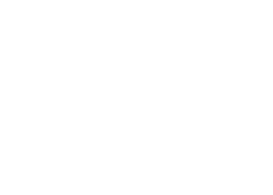 Erik-Audiences-WhiteArtboard-41