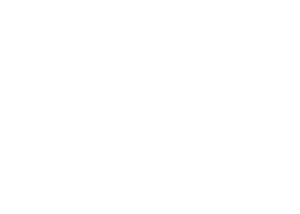 coyotes